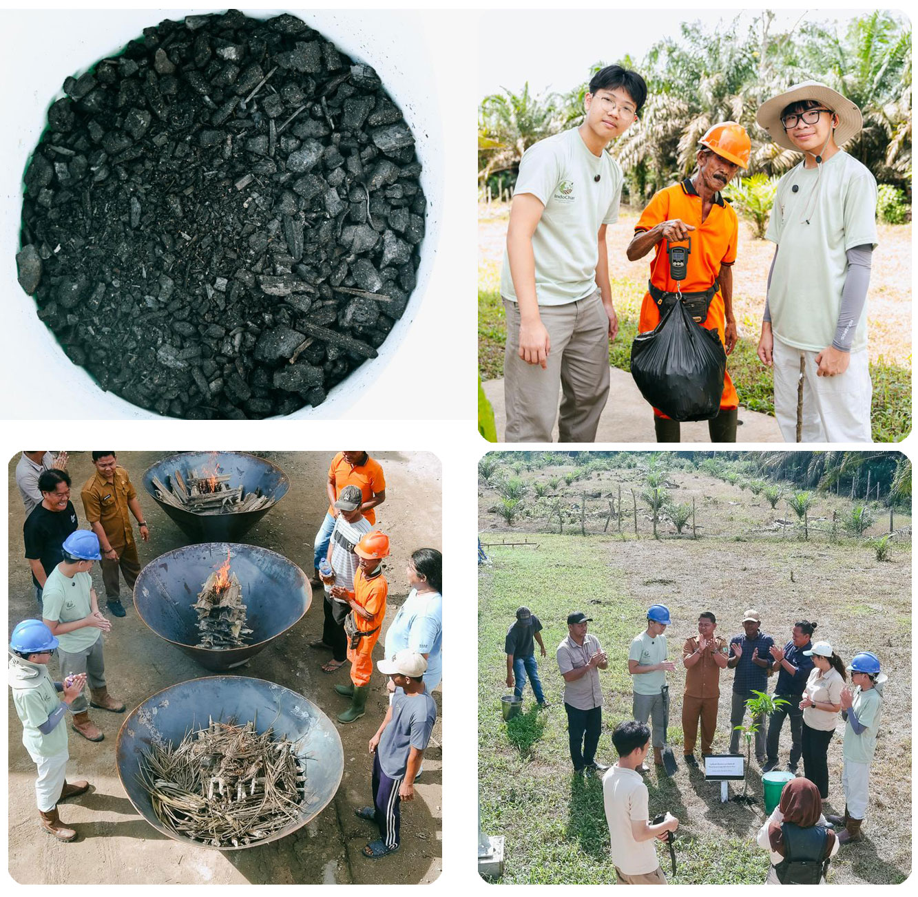 Biochar Team